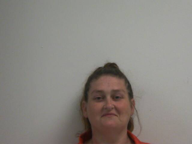 Mugshot of RAEANNA DAWN HAMILTON