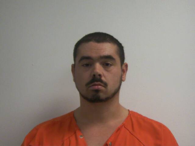 Mugshot of MICHAEL ANTHONY FLOOD