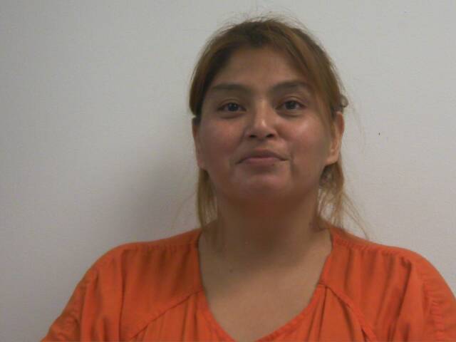 Mugshot of JAMIE LEE BARNETT - FLATT