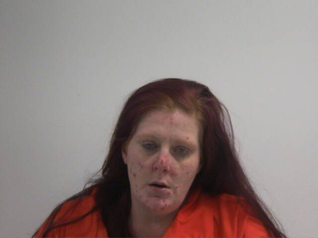 Mugshot of MARLIS LEARIN CUNNINGHAM