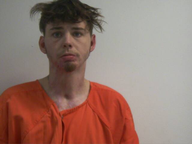Mugshot of POPEYE LEE NOLAN