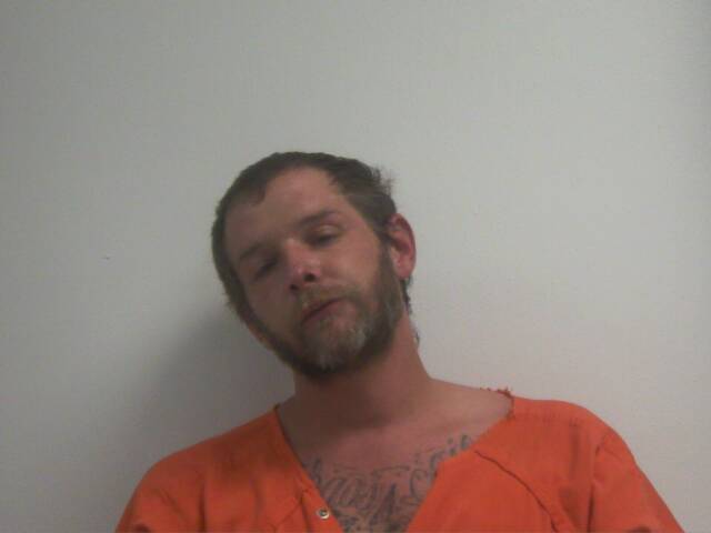 Mugshot of BRYANT MEEDER