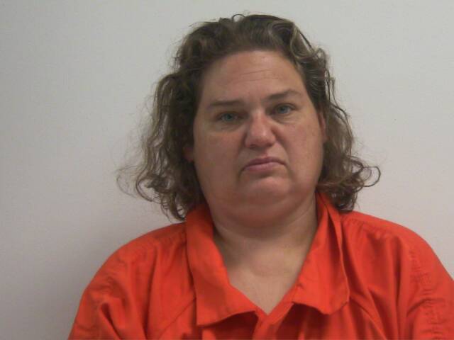 Mugshot of AMANDA GAYLE ALLEN