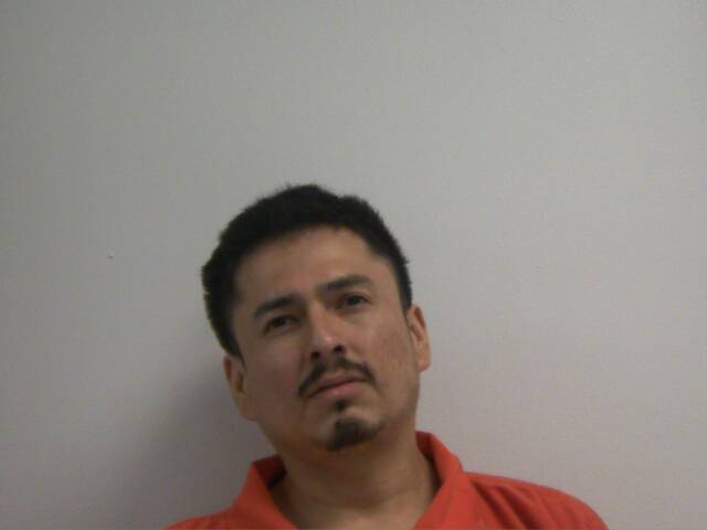 Mugshot of RODNEY PATRICK WATKINS