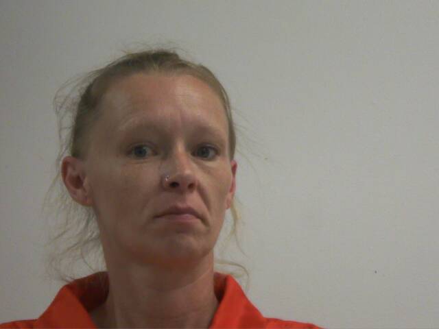 Mugshot of CASIE RENA MEHLHORN