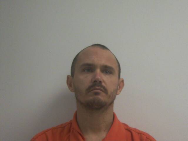 Mugshot of MARK ALLEN GOODMAN