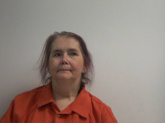 Mugshot of DEANNA RAYE WHITLOCK