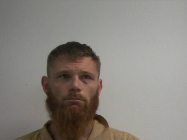 Mugshot of JOHNNY RAY WOLFE