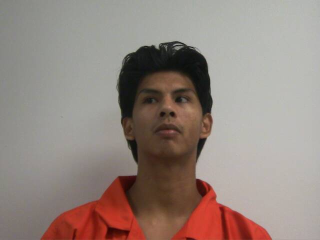 Mugshot of NICHOLAS JAMES WATASHE