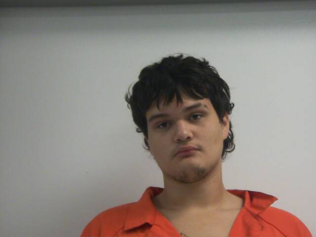 Mugshot of NIKO TOBIA BRISTOW