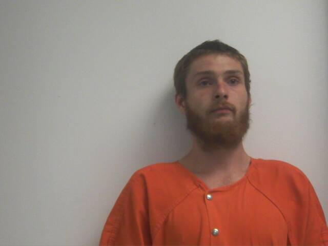 Mugshot of DARRELL LEE WISE