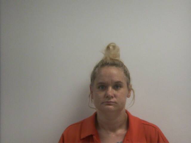 Mugshot of MEGAN DAWN LEE
