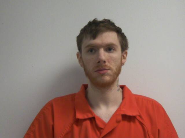 Mugshot of ROBERT NICHOLAS LONG