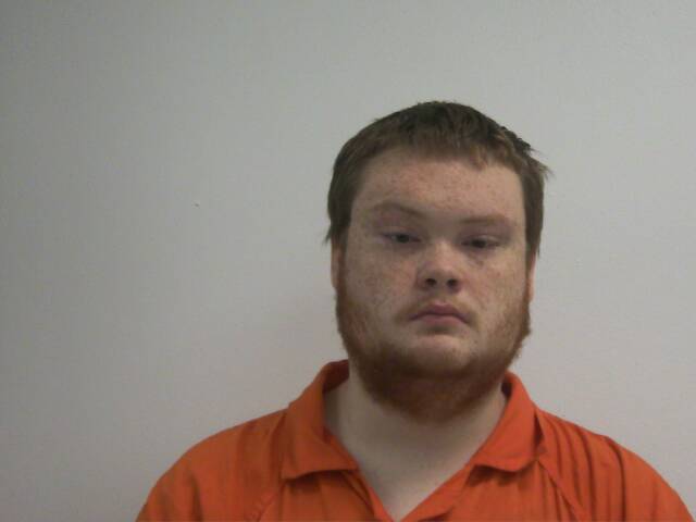 Mugshot of JAYDEN LEE WILKINS
