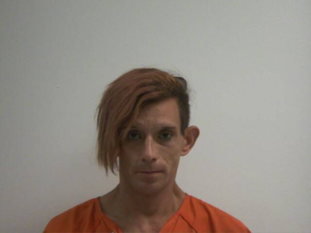 Mugshot of DUSTIN DISHAUN WILLIAMS