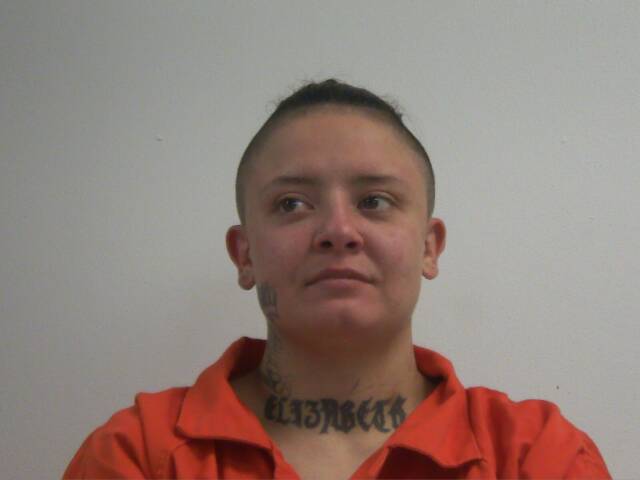 Mugshot of KRYSTIAN RAINE FOWLER