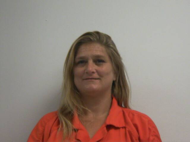 Mugshot of LESLIE RENEE WATKINS