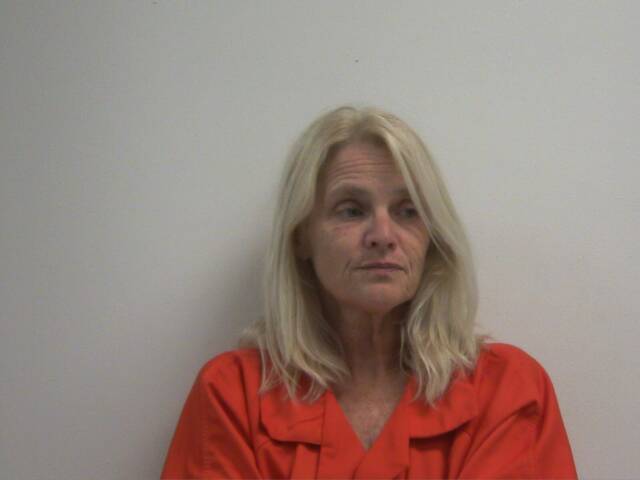 Mugshot of TINA DENICE WALLACE