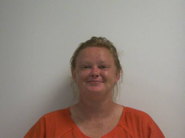 Mugshot of LORI ANN DIBLER