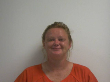 Mugshot of LORI ANN DIBLER