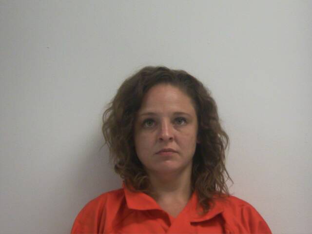 Mugshot of MEGHAN RYAN MCDONNELL