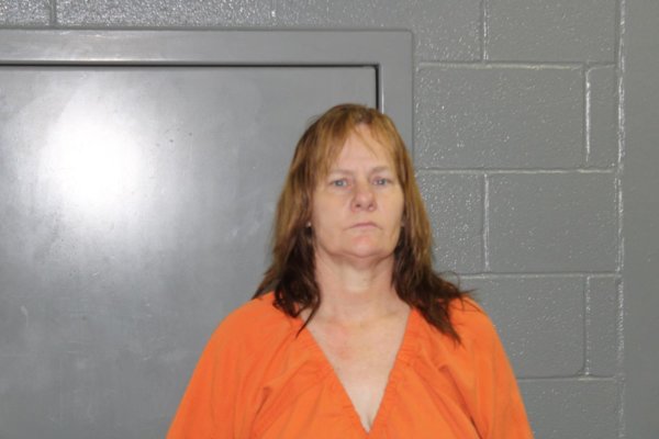 Mugshot of DIANA MARIE WASHA