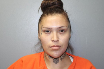 Mugshot of KAYLEE CHRISTINE TURTLE