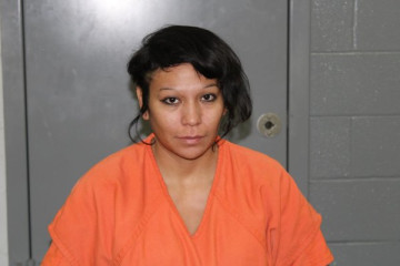 Mugshot of BRIANNA NICOLE SANDS