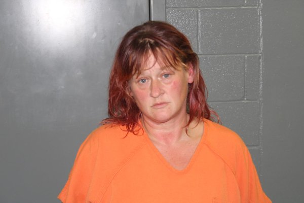 Mugshot of DANIELLE MARIE SOLIS AYALA