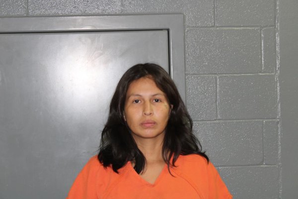 Mugshot of ANDREA RENEE ADDISON