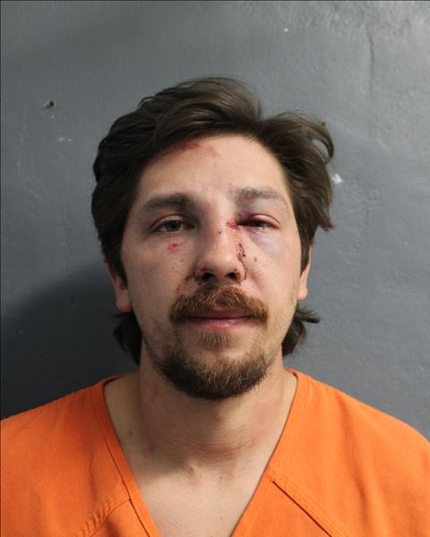 Mugshot of NATHAN TIGER