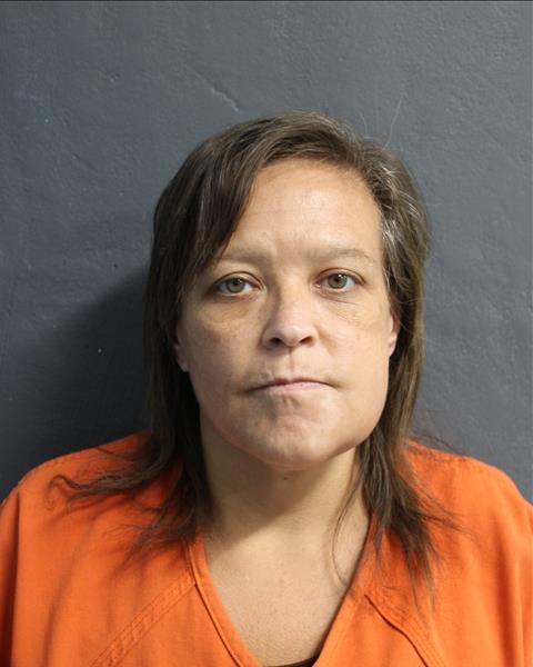 Mugshot of SONYA L PICKERING
