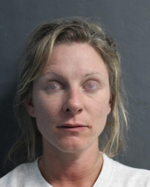 Mugshot of KRYSTAL MICHELLE LYNN DICKSON