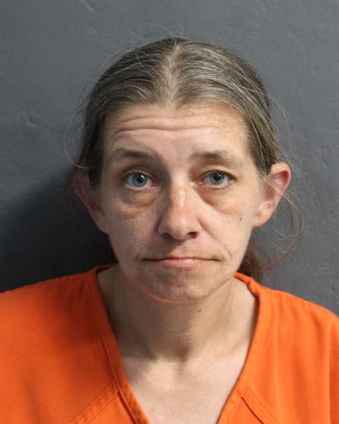 Mugshot of AMANDA HALSTED
