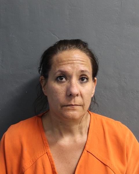 Mugshot of ERIN BROWN