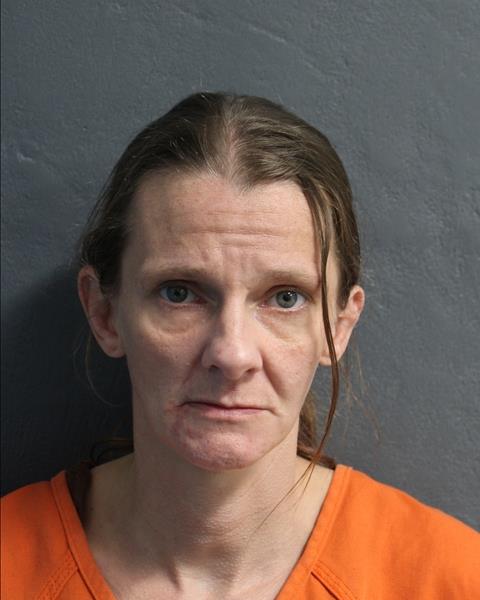 Mugshot of PENNY KAY LARSON