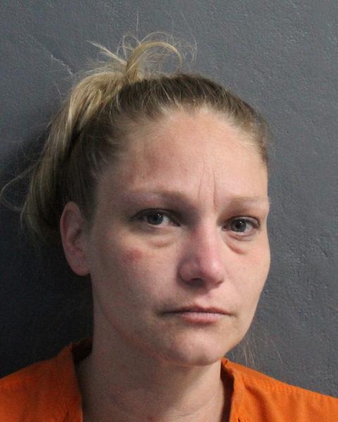 Mugshot of MEAGAN LYNN LARSON