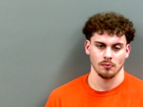 Mugshot of BRANDON WOLFE