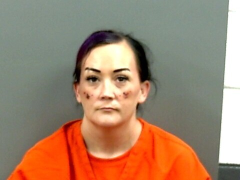Mugshot of RAEVAN BEAUCHAMP