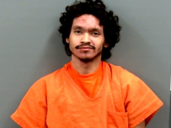 Mugshot of LEVI HANKINS