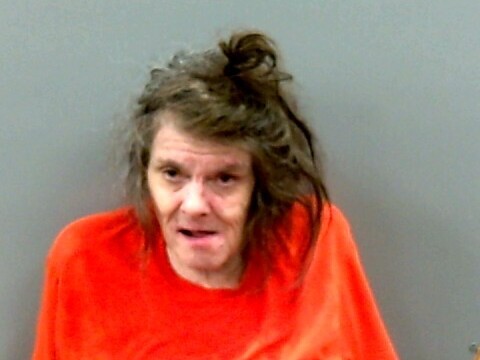 Mugshot of DEBRA HAYES