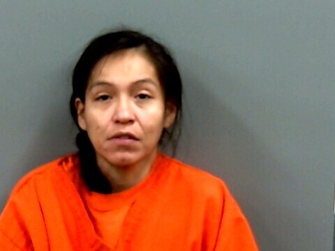 Mugshot of BRANDY ANDREW