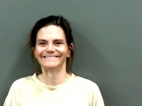 Mugshot of BRANDY ANDREWS