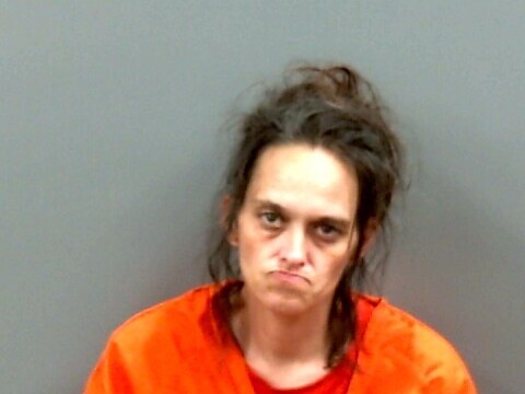 Mugshot of CHRISTY RICHARDSON