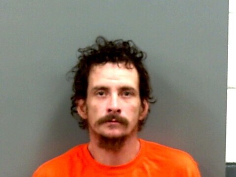 Mugshot of SHANE HARKINS
