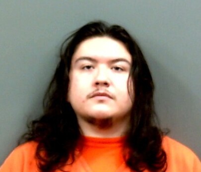 Mugshot of MARIO PALMER