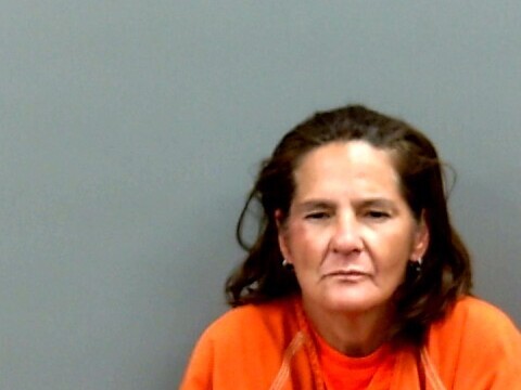 Mugshot of GINGER BROCKMANN