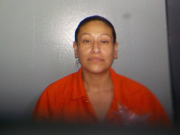 Mugshot of AMANDA SUE MCQUOID