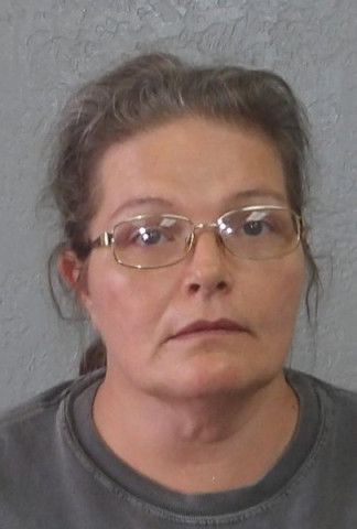 Mugshot of JENNIFER LEE JOHNSTON