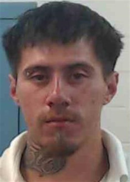 Mugshot of MICHAEL ELVIS REZA